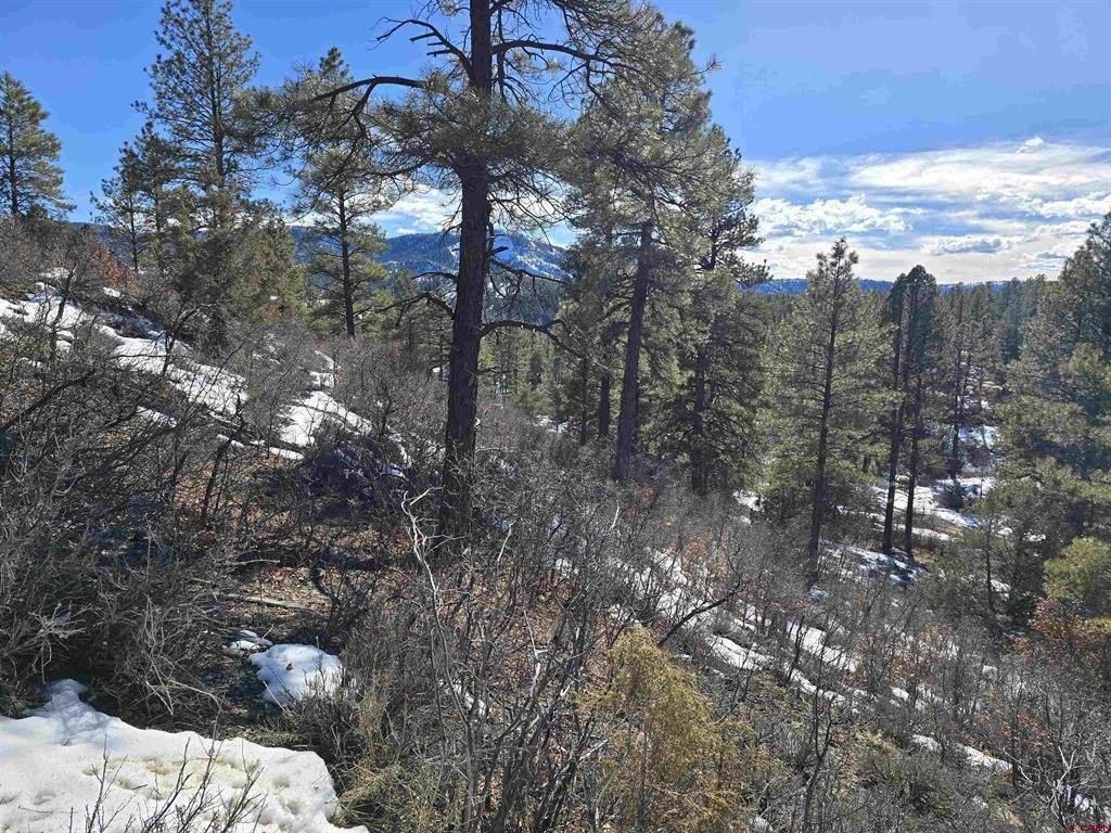 Picture 4