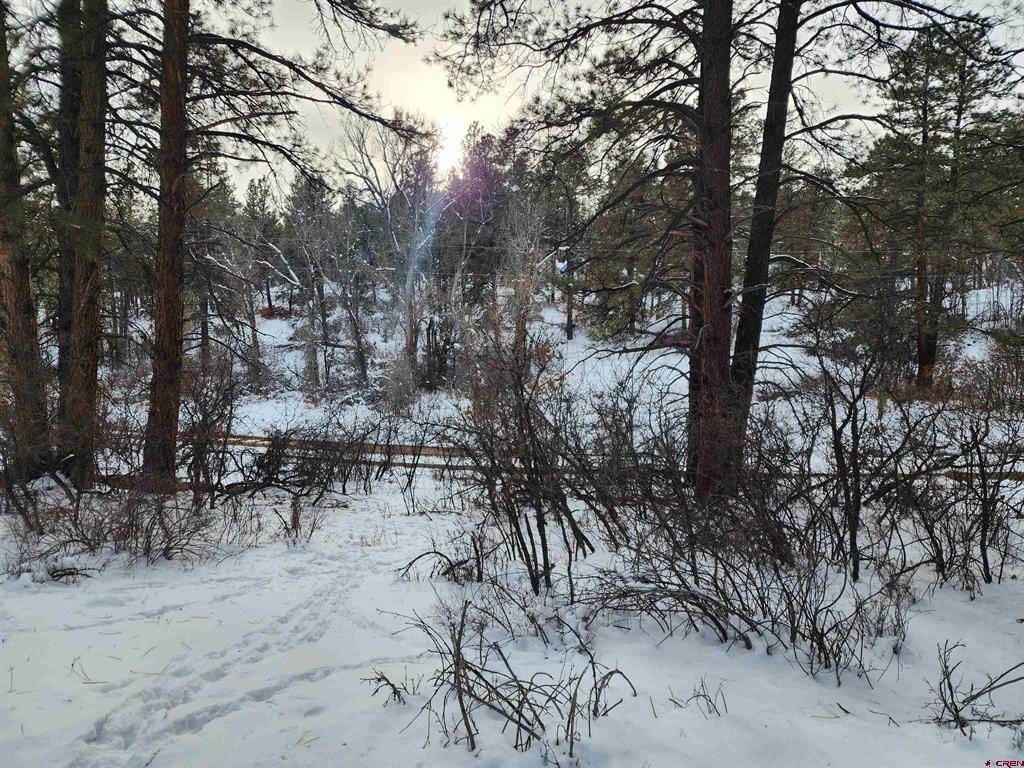Picture 24