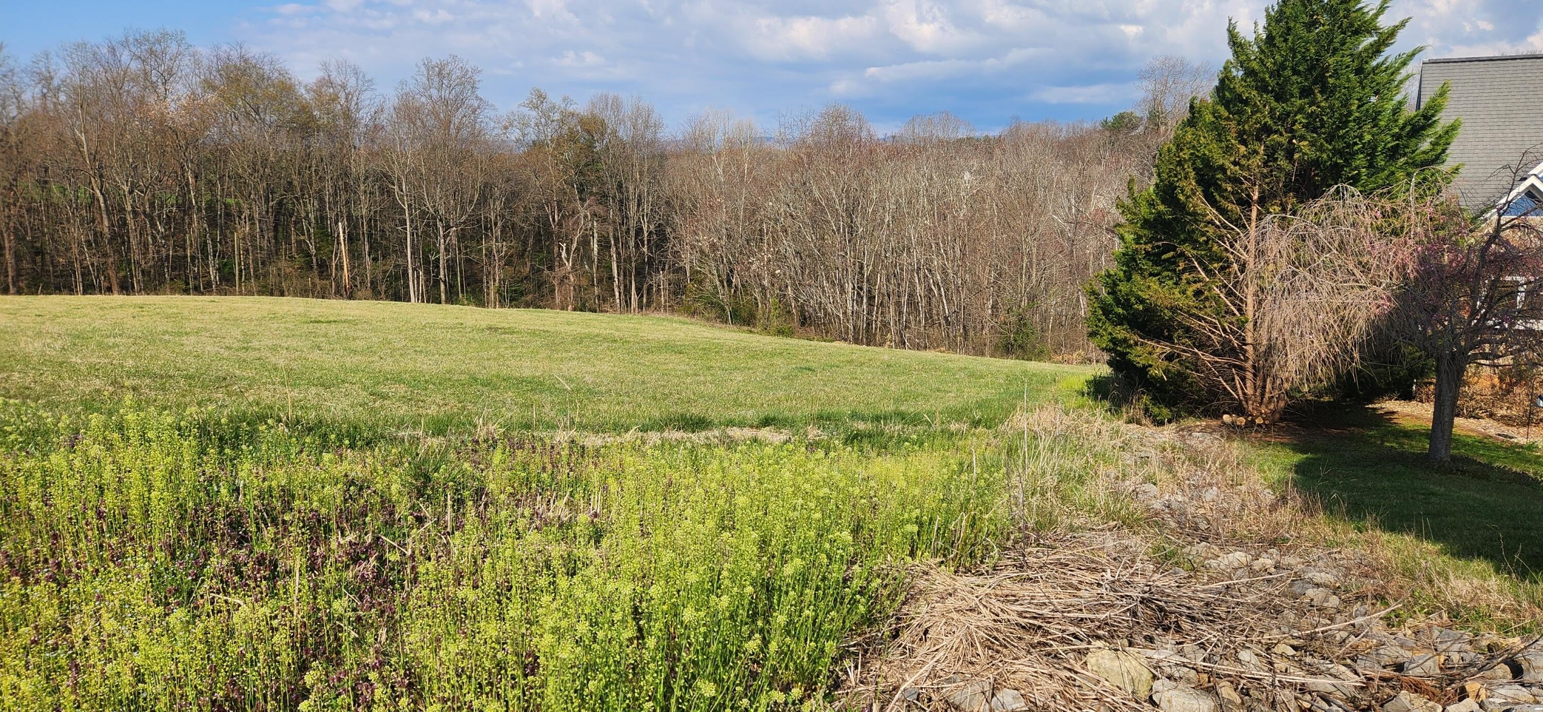 Rocky Mount Land with Mountain Views