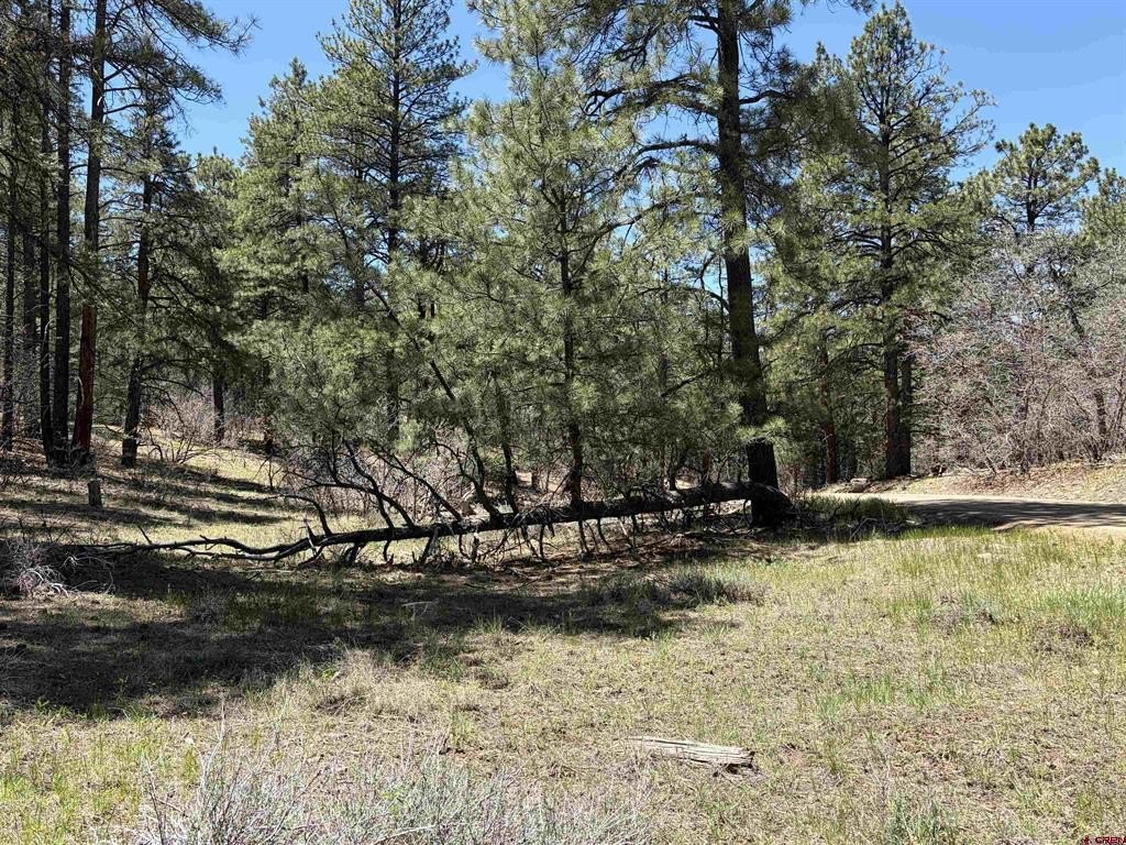 Land in Pagosa Springs, CO