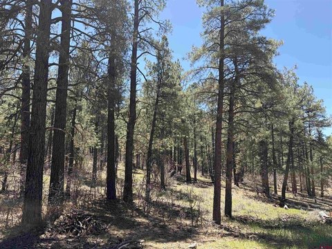 Land in Pagosa Springs, CO