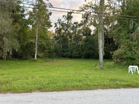 Partially Cleared Riverfront Homesite