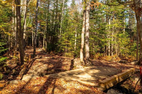 Chester Basin, NS
