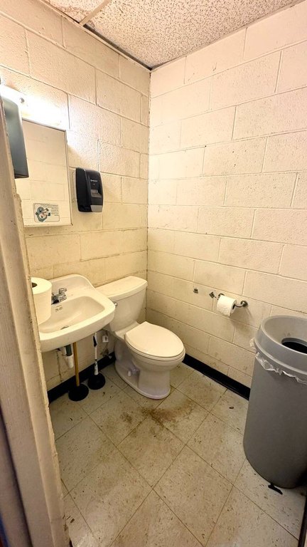 Picture 38
