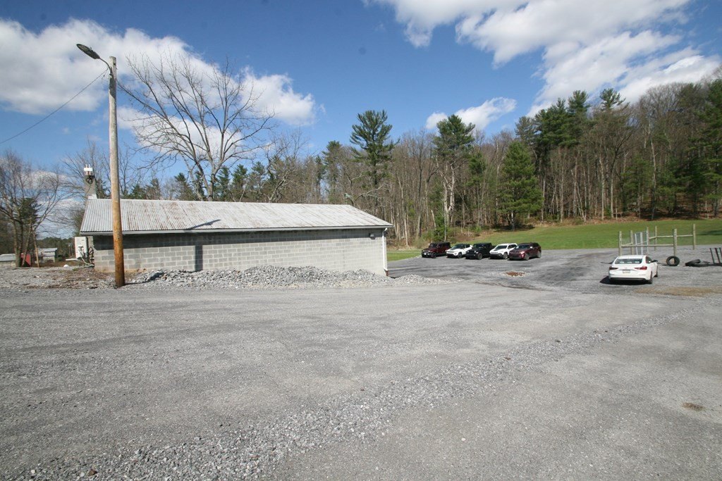 Picture 6