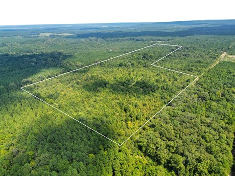 Recreational Land with Timber Mix