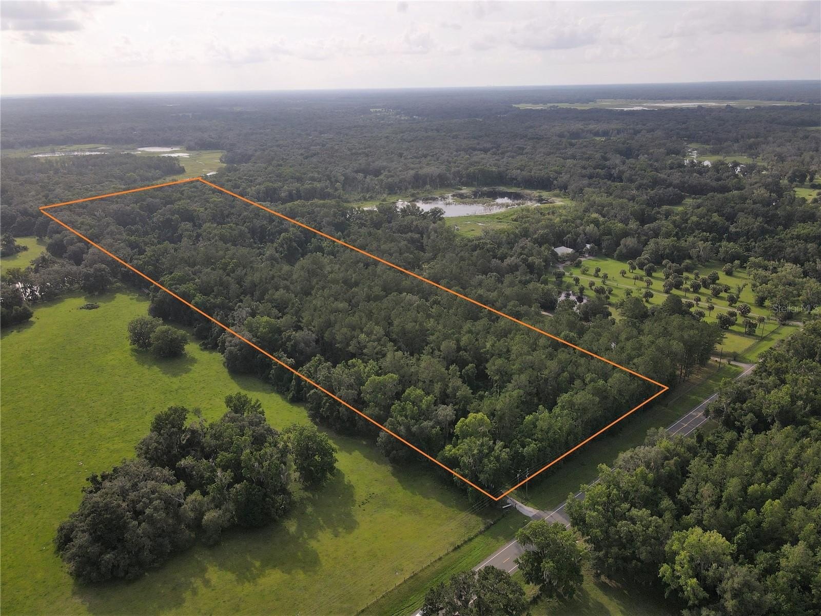 Secluded Forest Homestead Land Available