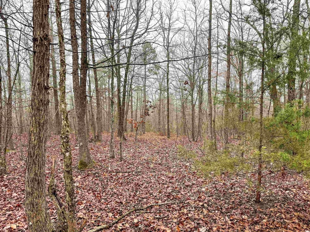 Picture 13