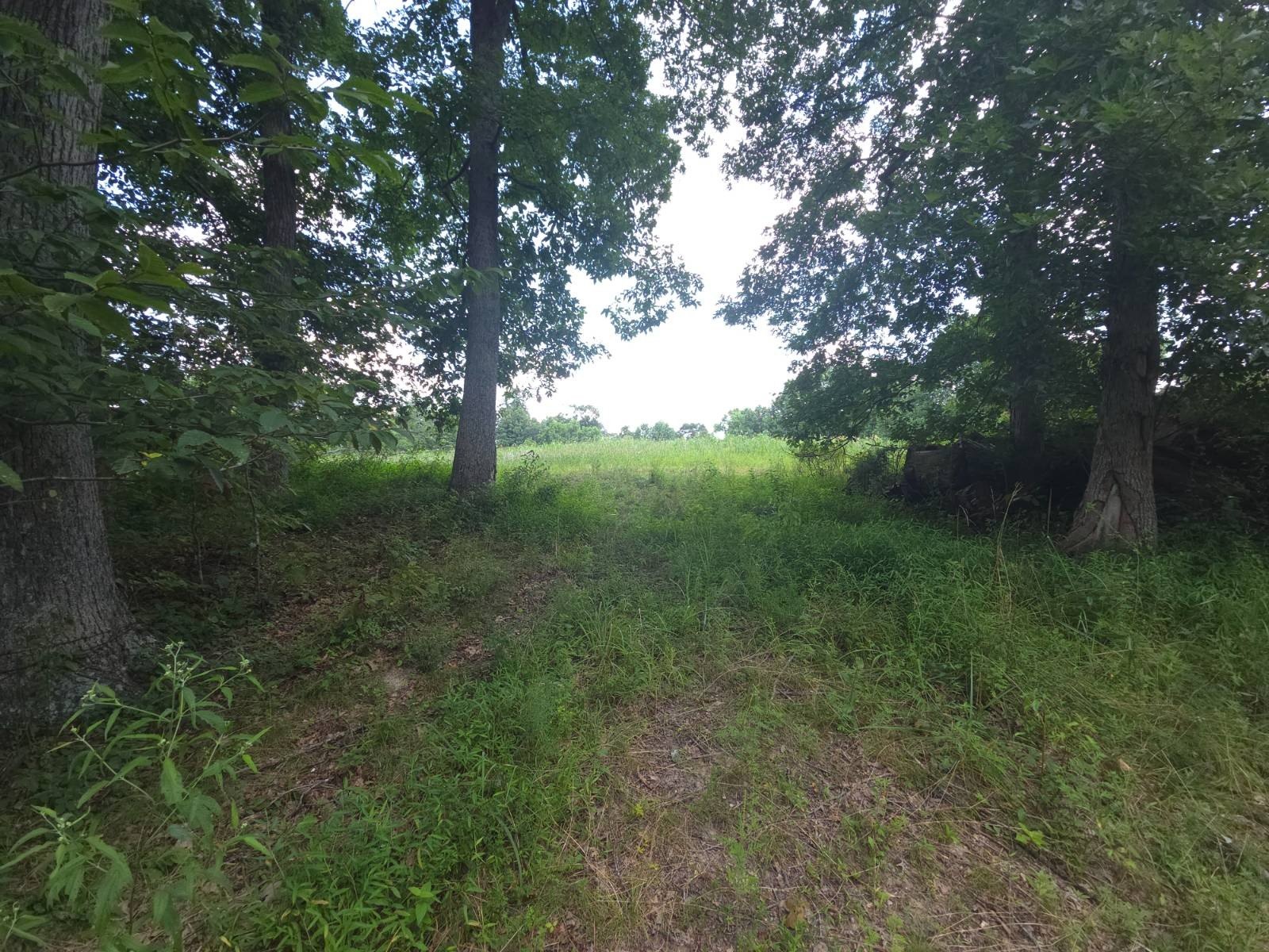 Nashville, IN Farm/Estate Land