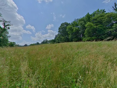 Residential Building Lot with Road Frontage