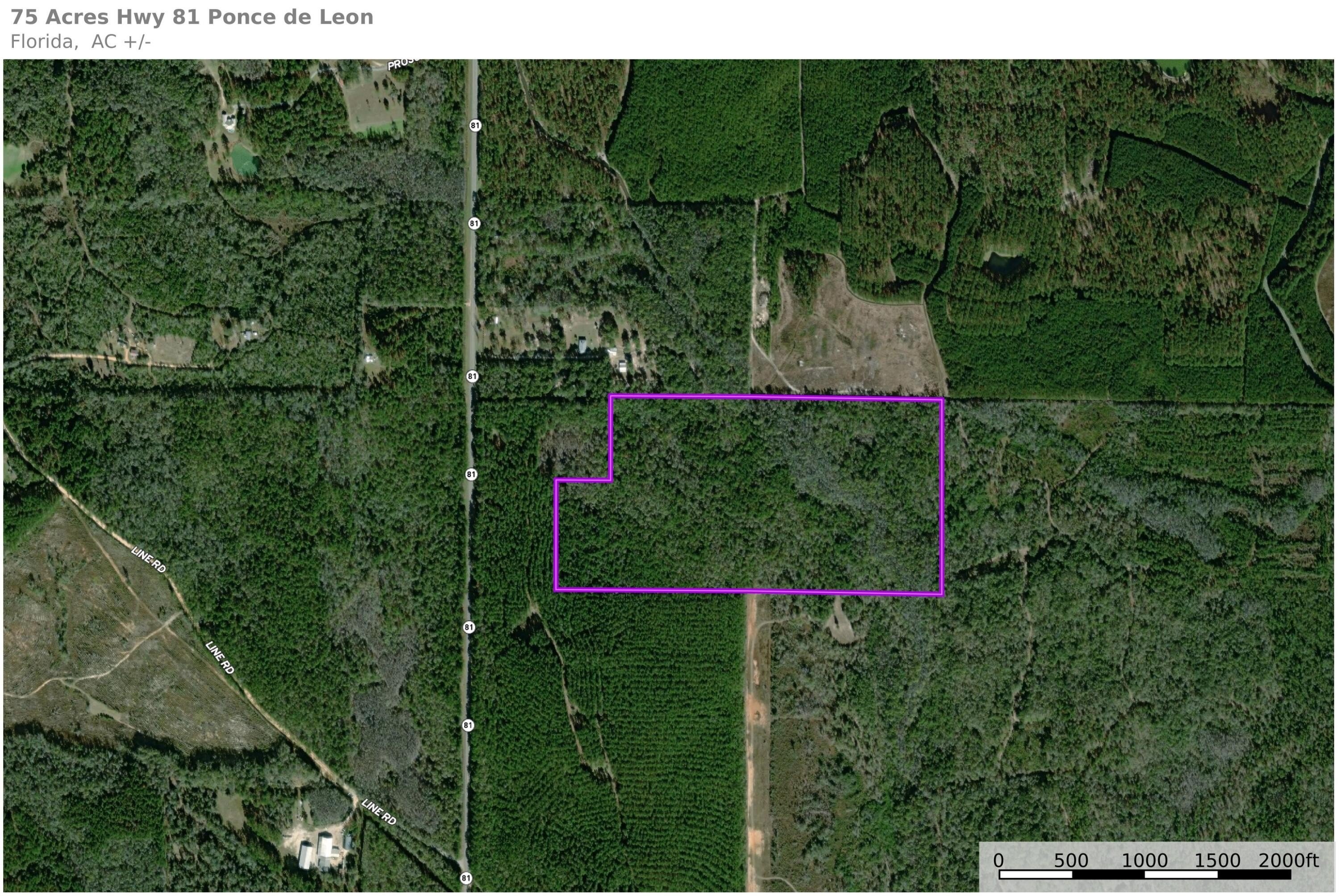 75 Acres Hunting/Agricultural Land
