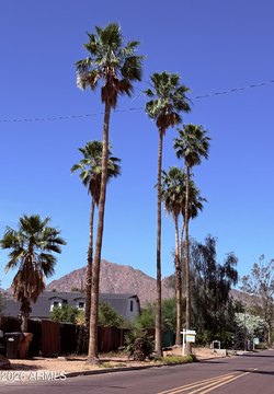 LAND - Scottsdale, AZ