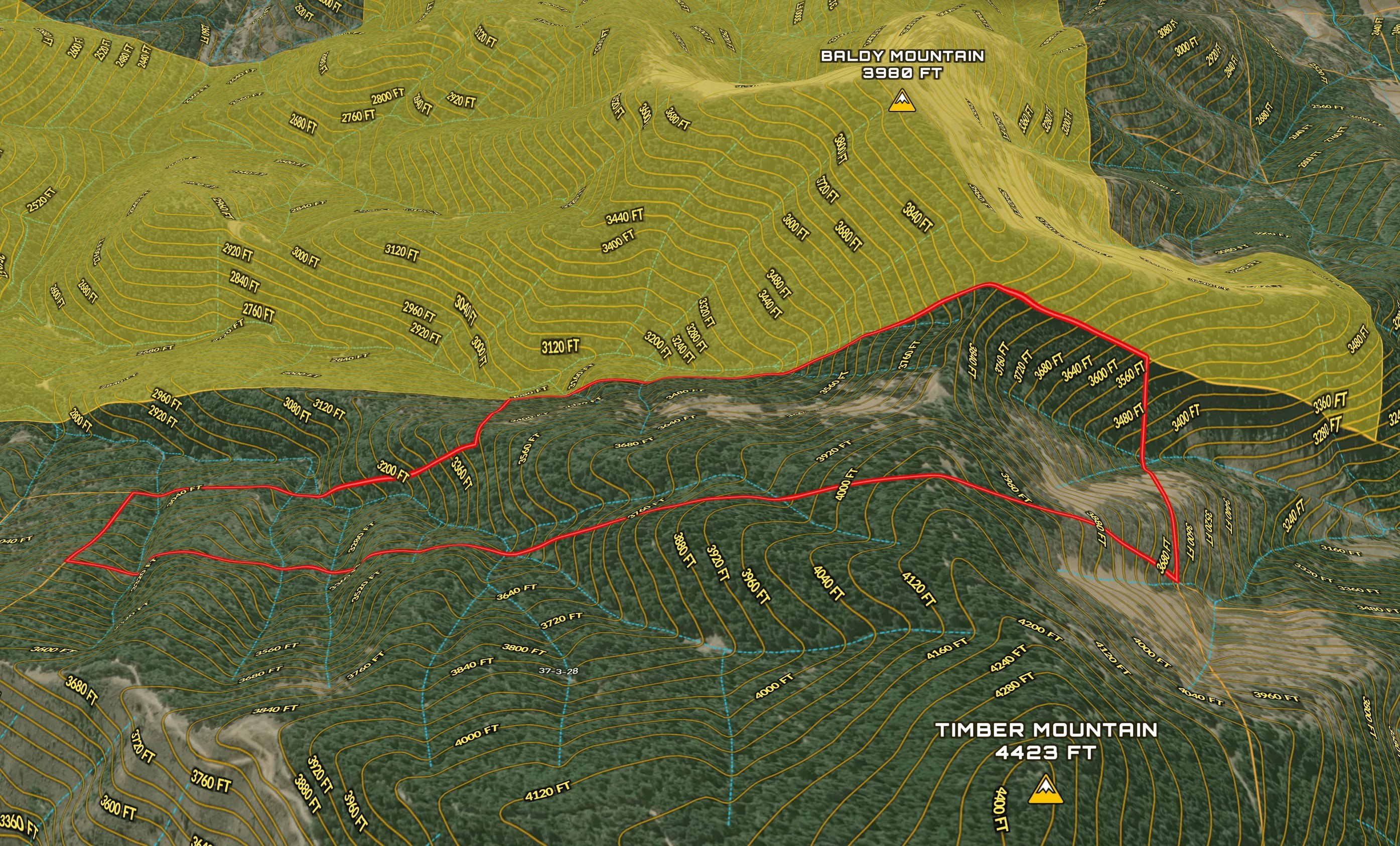 135 Acres of Timberland