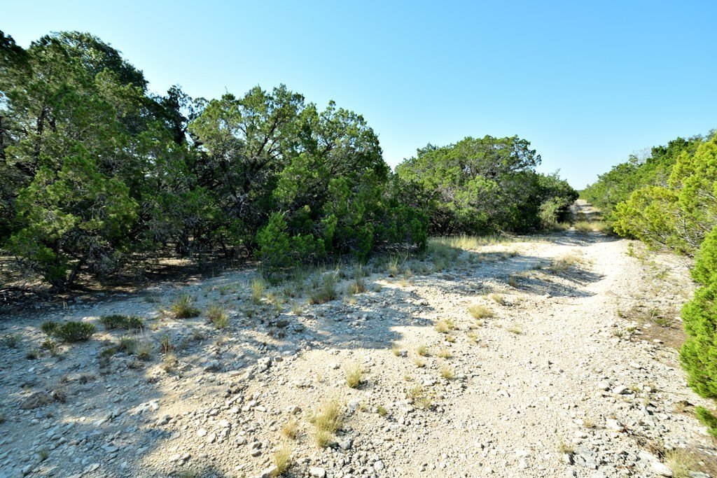 Picture 19