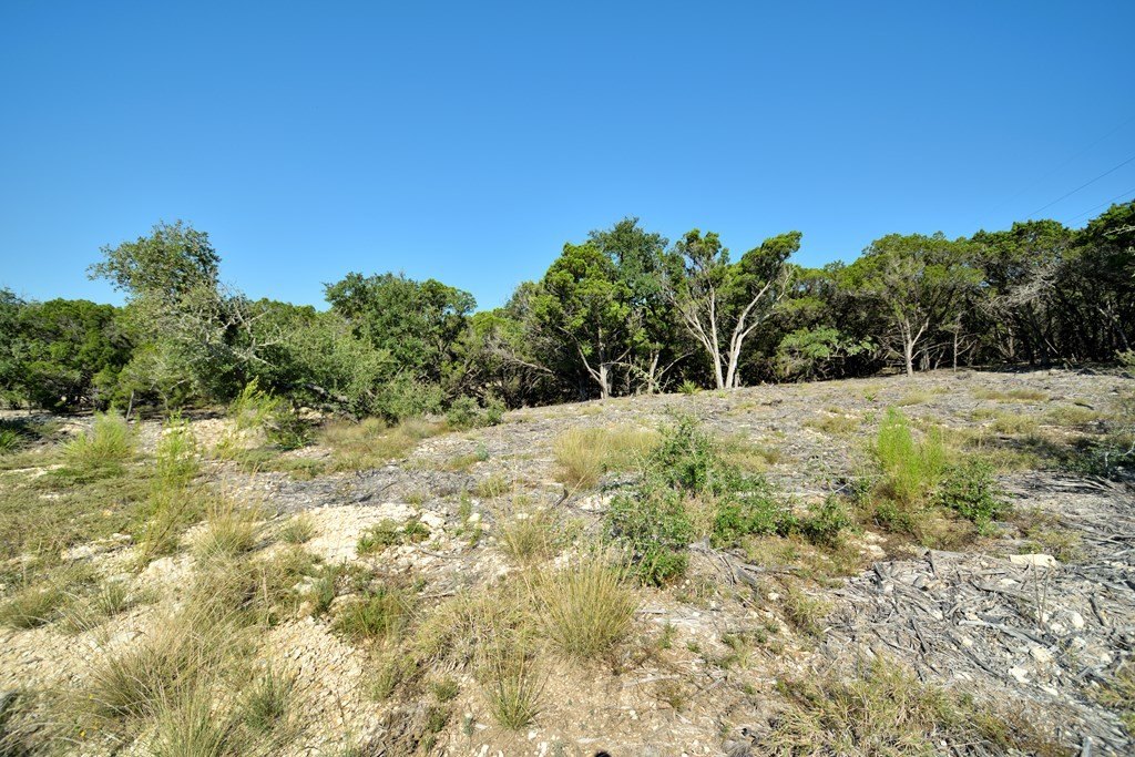 Picture 21