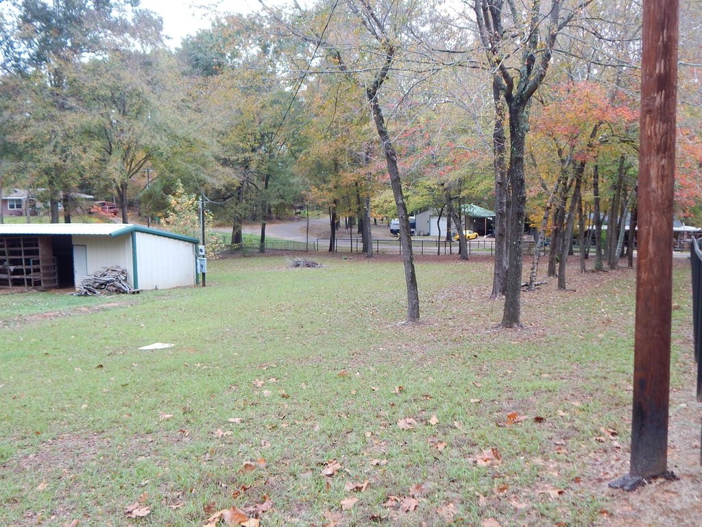 Picture 11