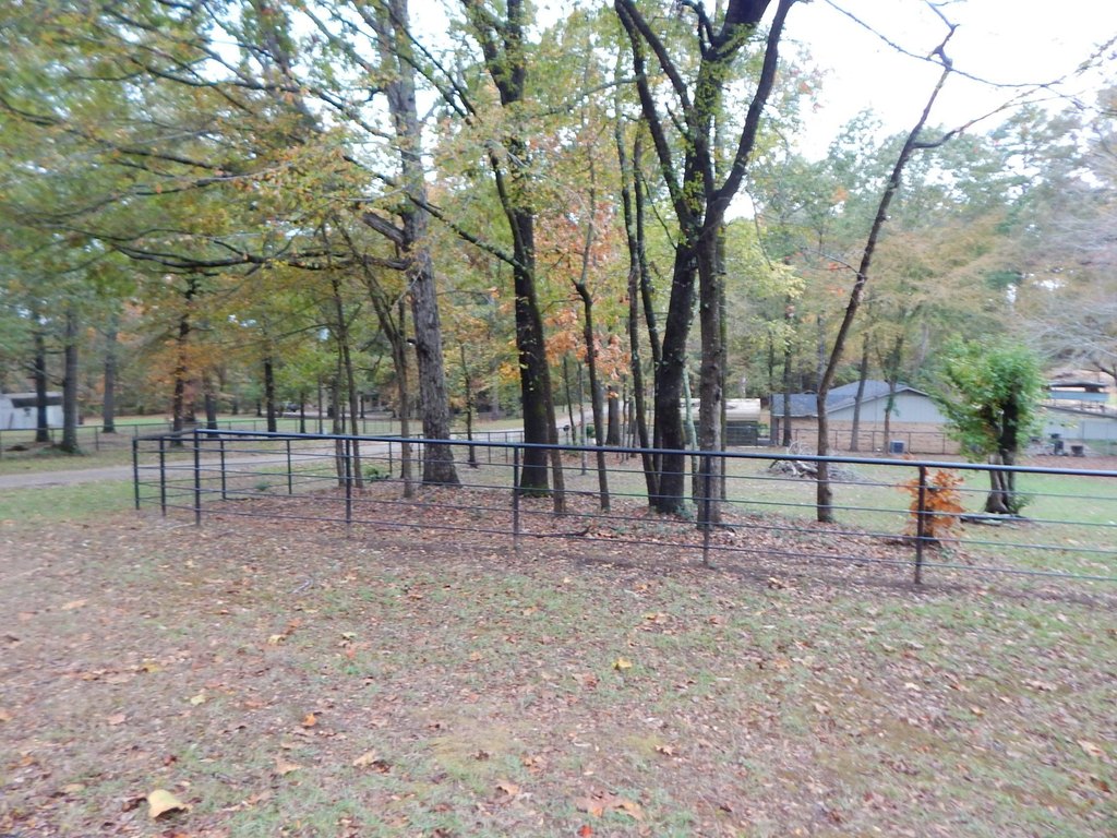 Picture 3