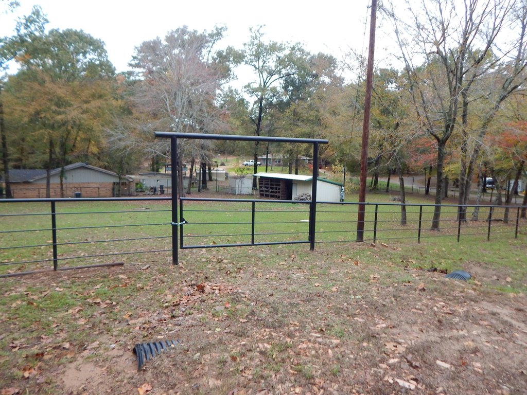 Picture 8