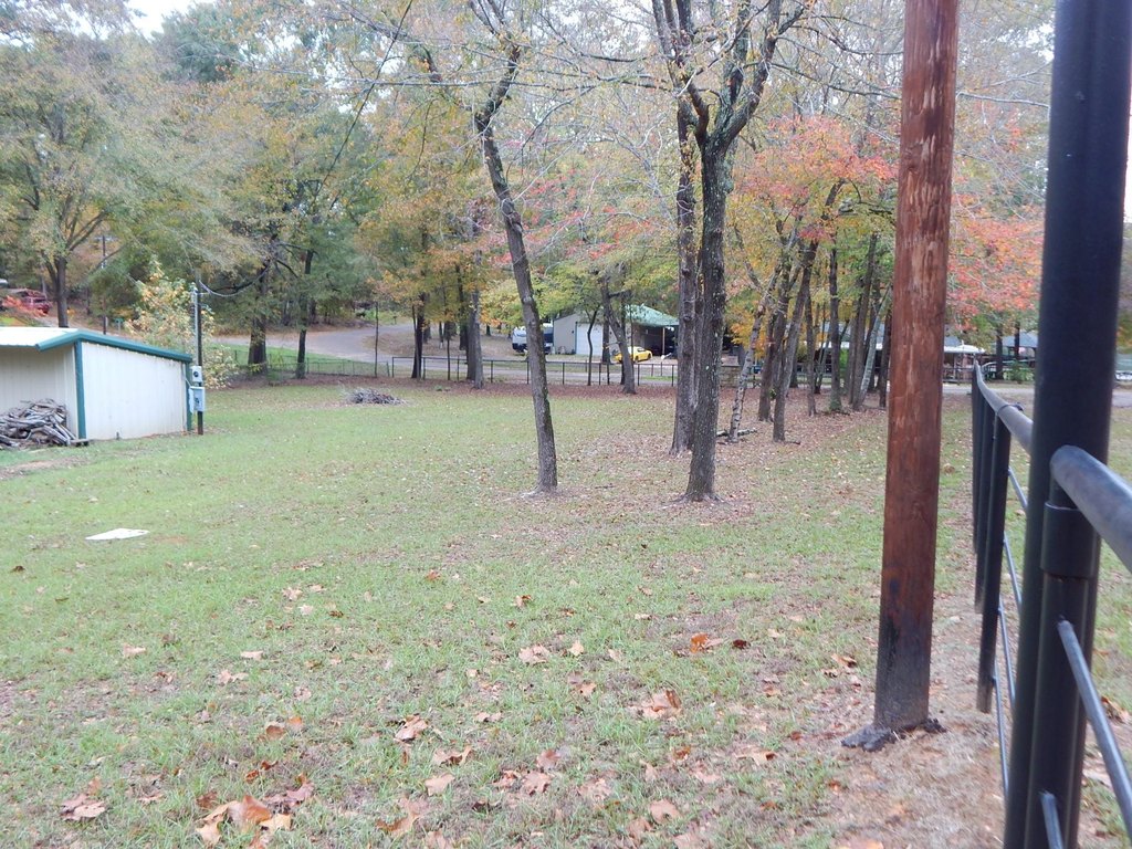 Picture 10