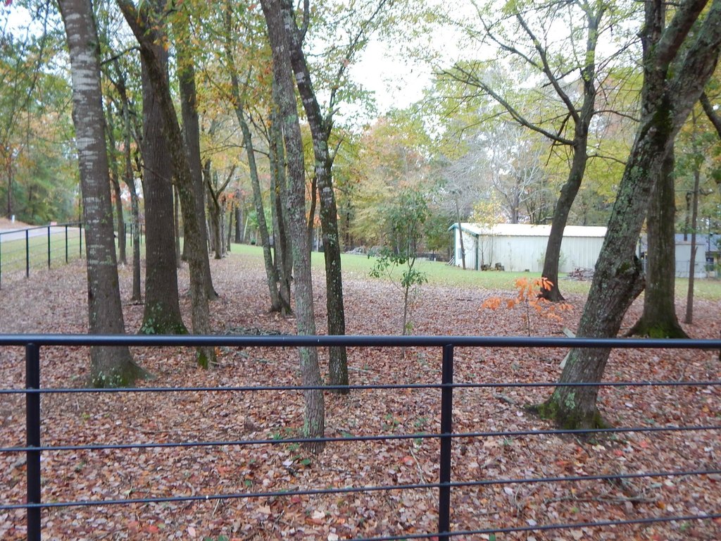 Picture 14