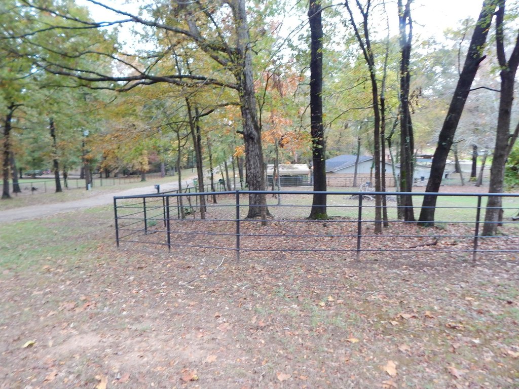 Picture 5
