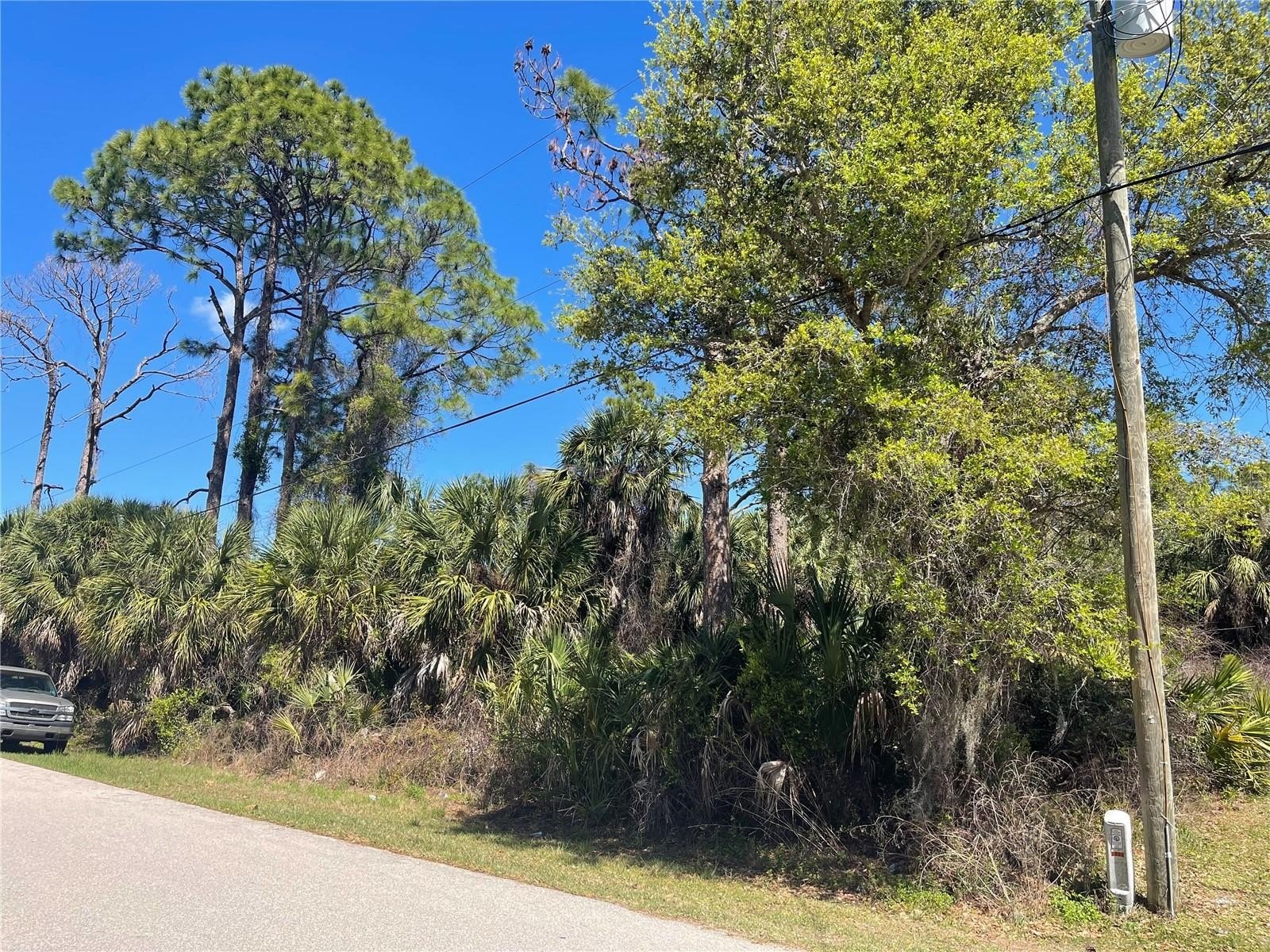 Residential Lot in North Port