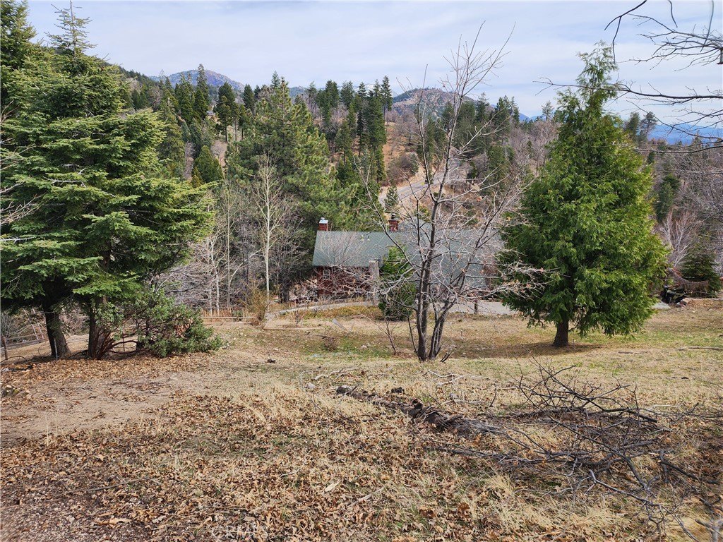 Picture 29