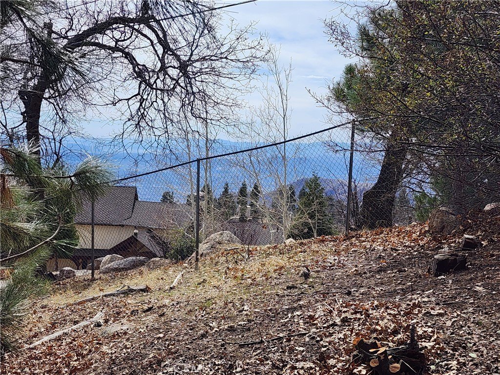 Picture 16