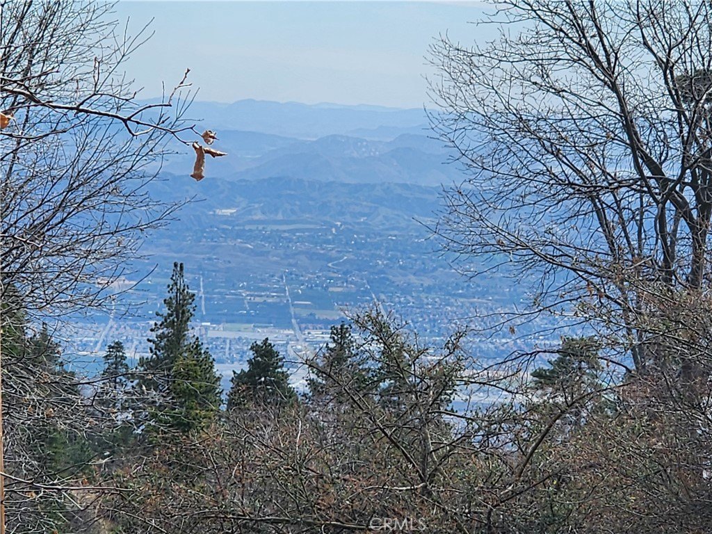 Picture 28