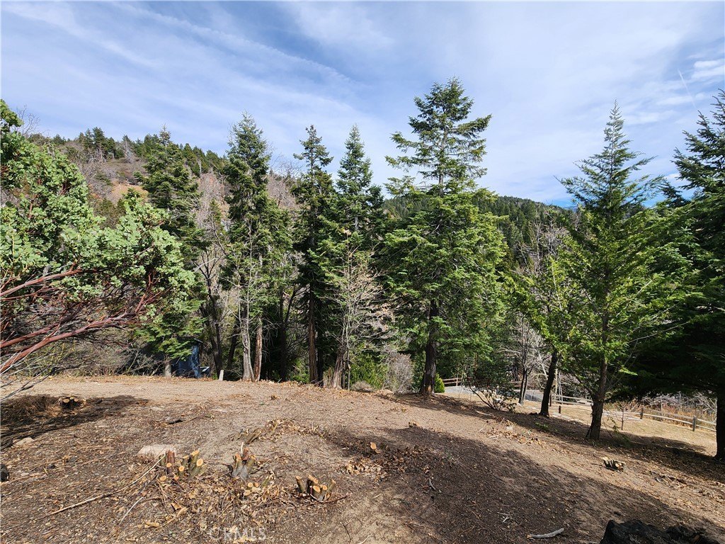 Picture 20
