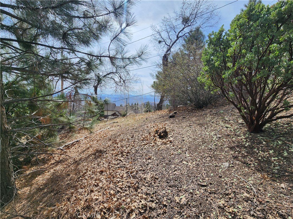 Picture 17