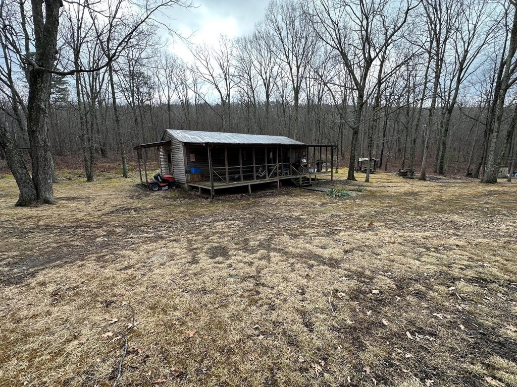 Picture 4