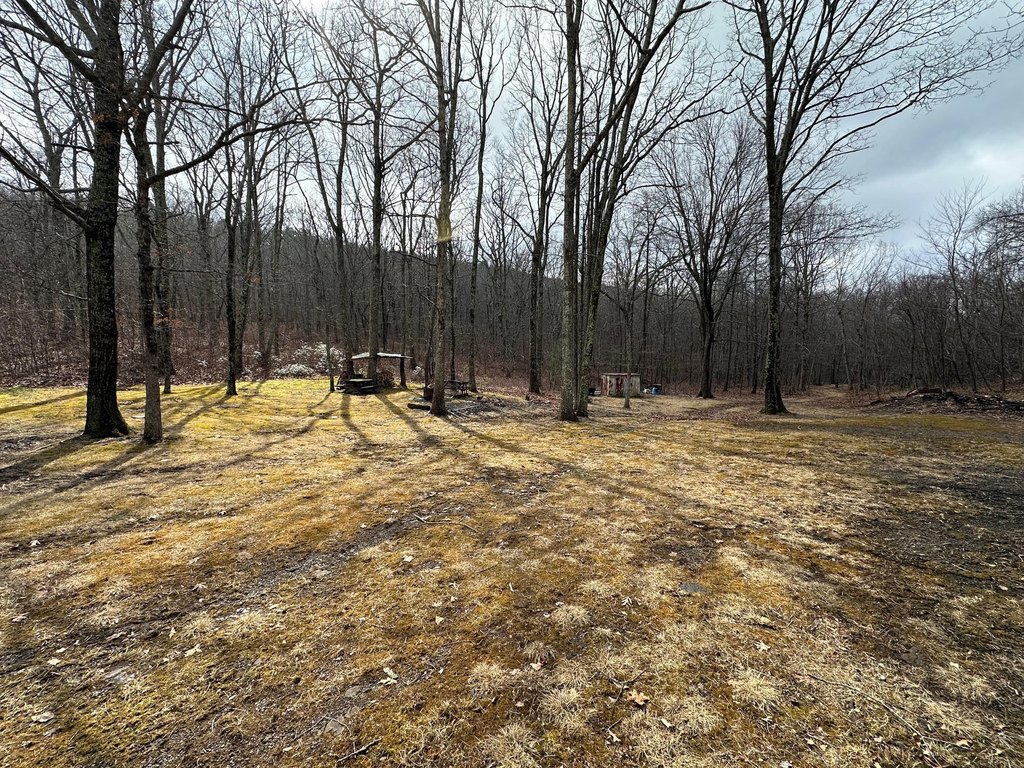 Picture 5