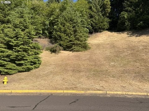 Residential Homesite in View Heights