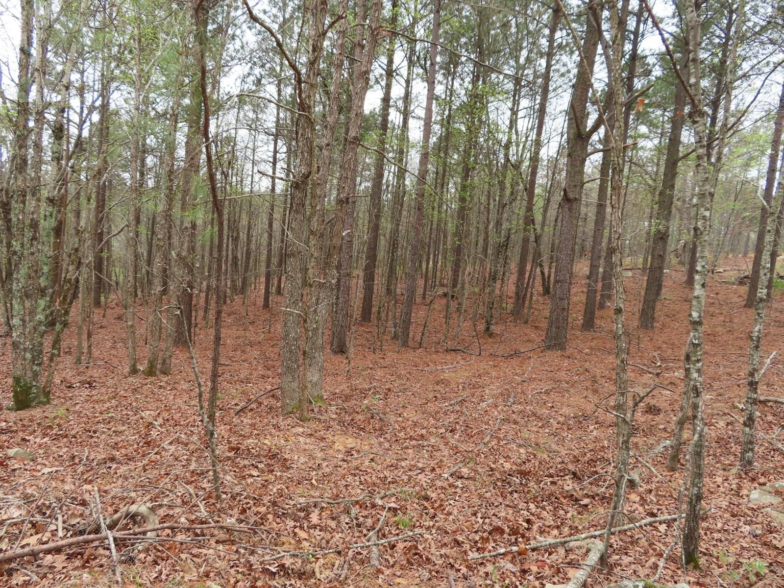 Vacant Land - Smithville, OK
