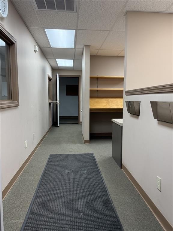 Picture 23