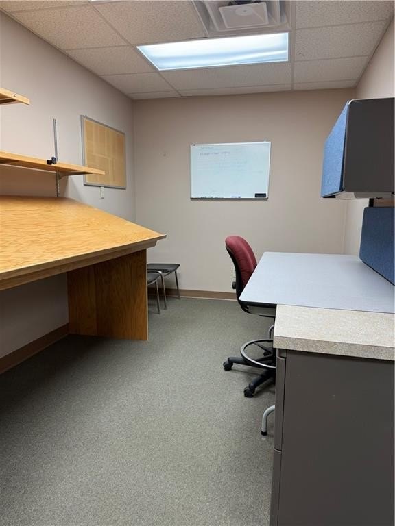 Picture 22