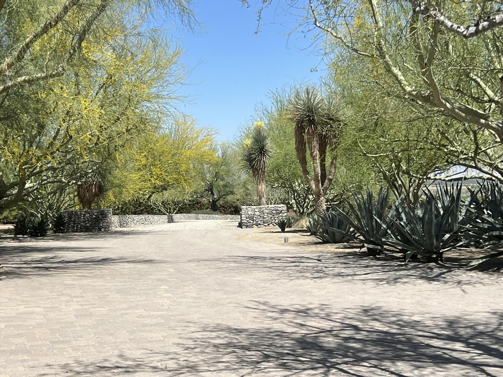Picture 51