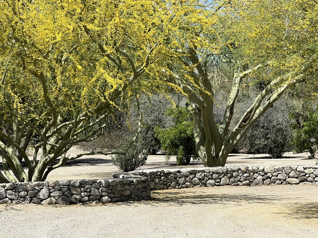 Picture 50