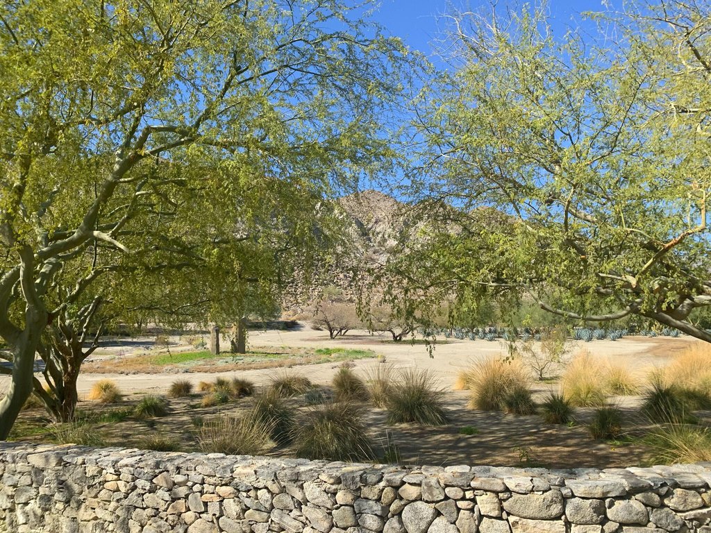 Picture 22