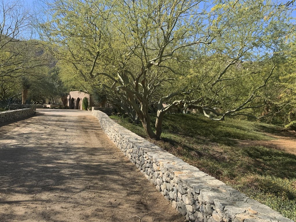 Picture 27