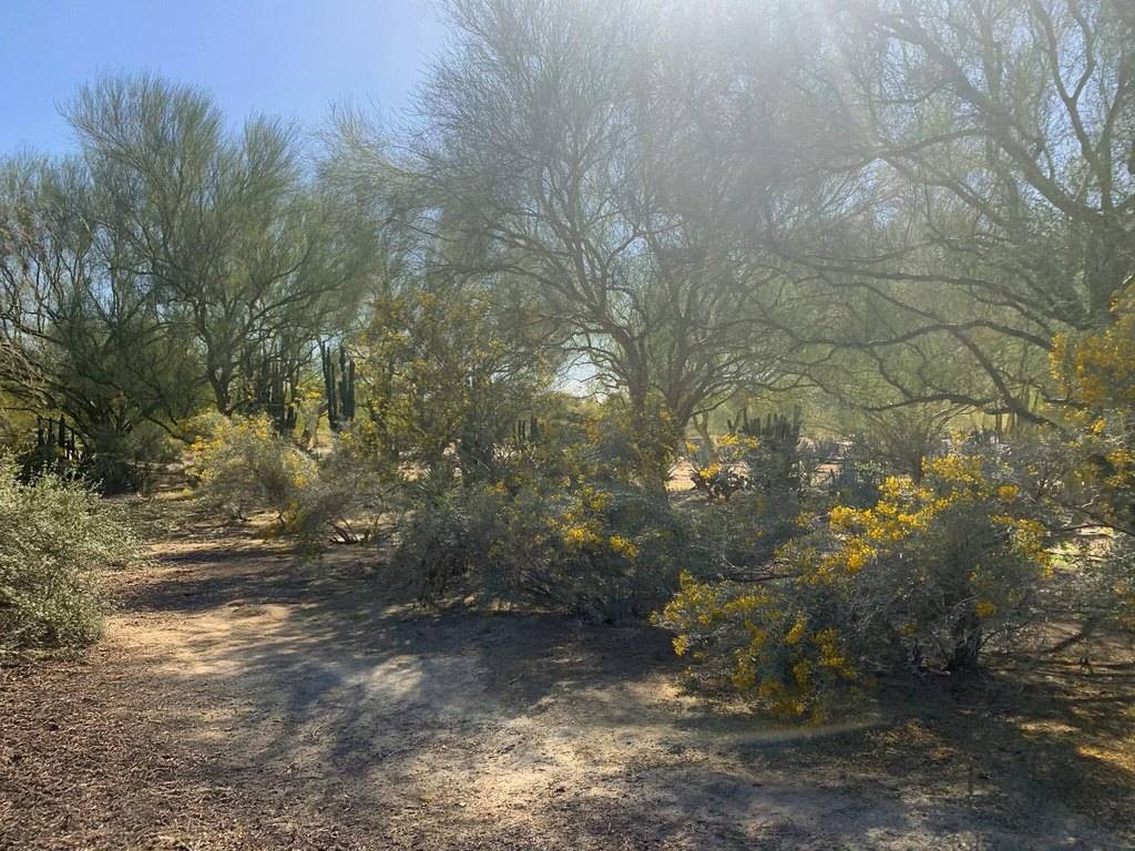 Picture 37