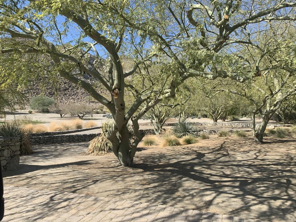 Picture 29