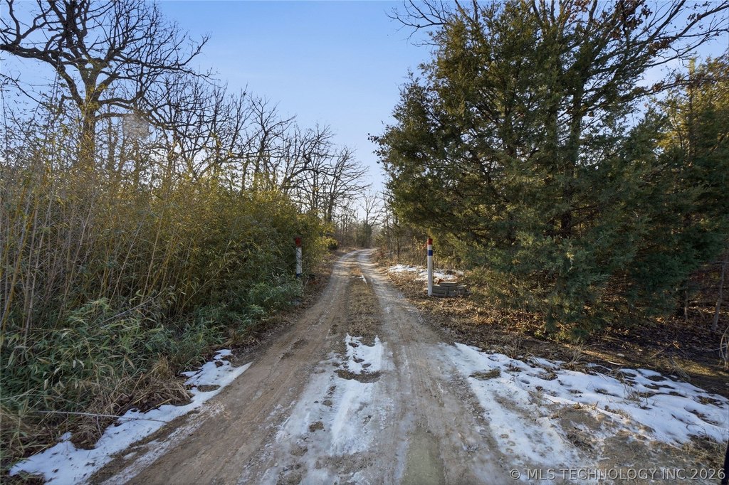 Picture 19