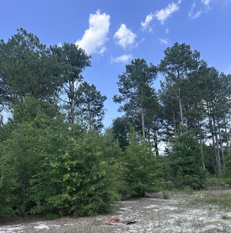 Picture 23