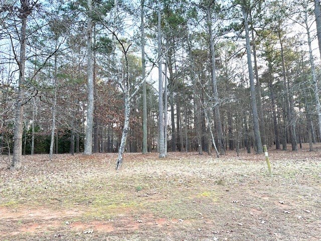 Picture 2