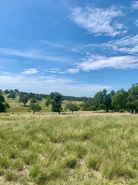 Land with Panoramic Views