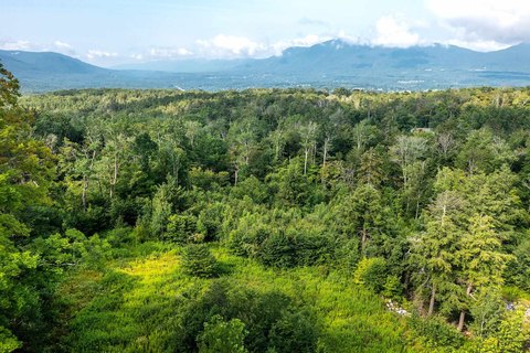 Land with Mountain Views