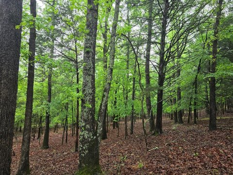5-Acre Homesite in Gated Community