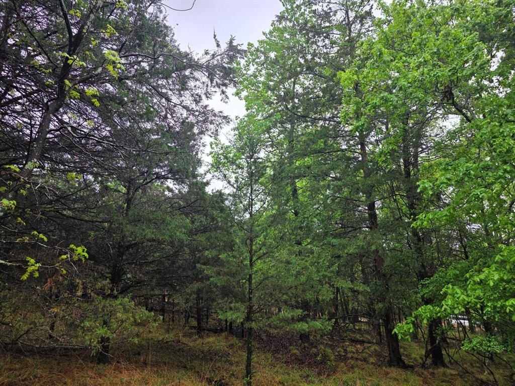 Picture 22